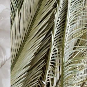 Meet your Posher, Munira